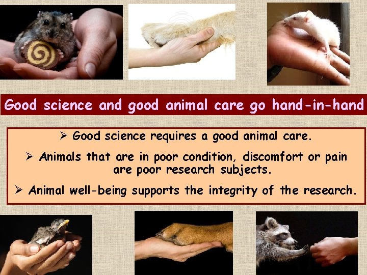 Good science and good animal care go hand-in-hand Ø Good science requires a good