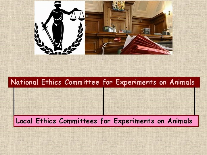 National Ethics Committee for Experiments on Animals Local Ethics Committees for Experiments on Animals