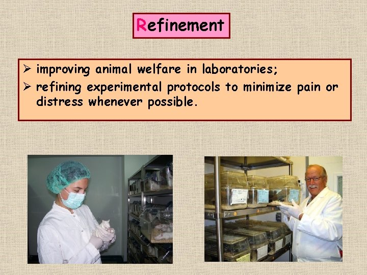 Refinement Ø improving animal welfare in laboratories; Ø refining experimental protocols to minimize pain