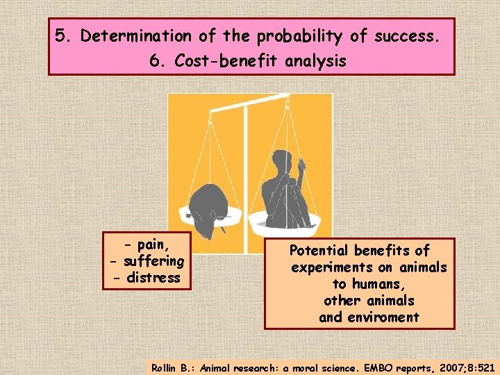 5. Determination of the probability of success. 6. Cost-benefit analysis - pain, - suffering