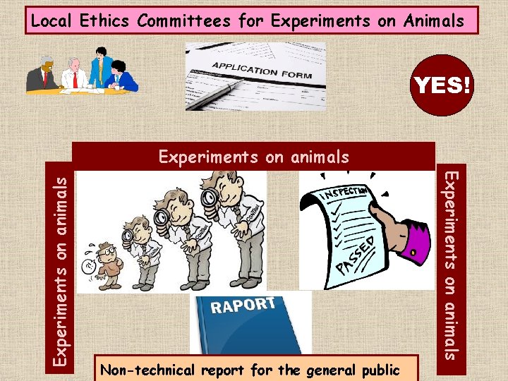 Local Ethics Committees for Experiments on Animals YES! Non-technical report for the general public