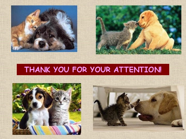 THANK YOU FOR YOUR ATTENTION! 