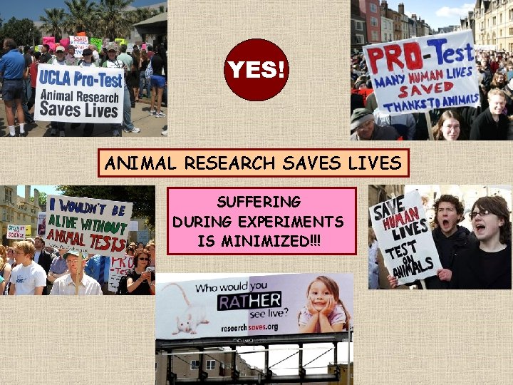 YES! ANIMAL RESEARCH SAVES LIVES SUFFERING DURING EXPERIMENTS IS MINIMIZED!!! 