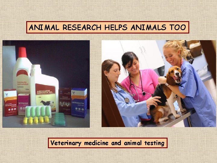 ANIMAL RESEARCH HELPS ANIMALS TOO Veterinary medicine and animal testing 