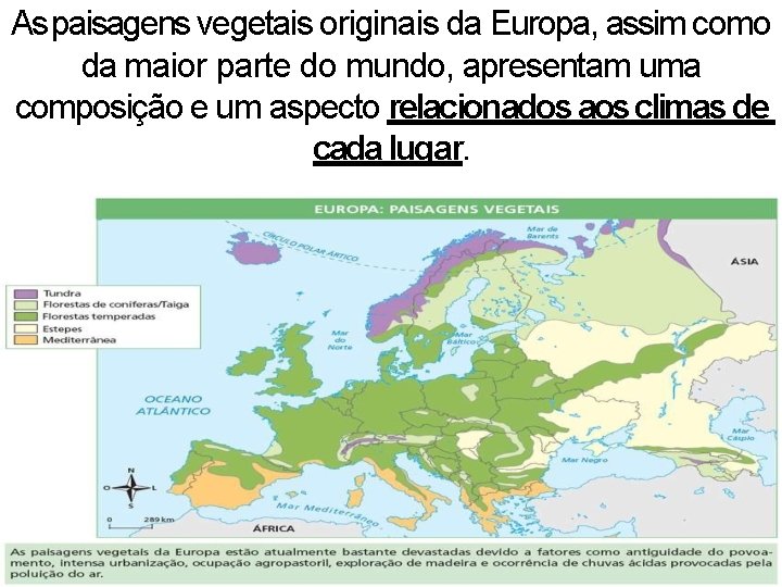 As paisagens vegetais originais da Europa, assim como da maior parte do mundo, apresentam