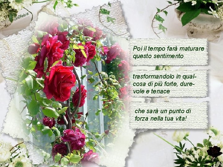 Poi il tempo farà maturare questo sentimento trasformandolo in qualcosa di più forte, durevole