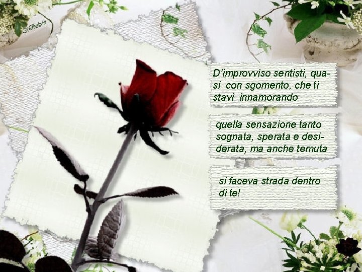 D’improvviso sentisti, quasi con sgomento, che ti stavi innamorando quella sensazione tanto sognata, sperata