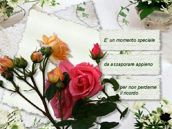 E’ un momento speciale da assaporare appieno per non perderne il ricordo 