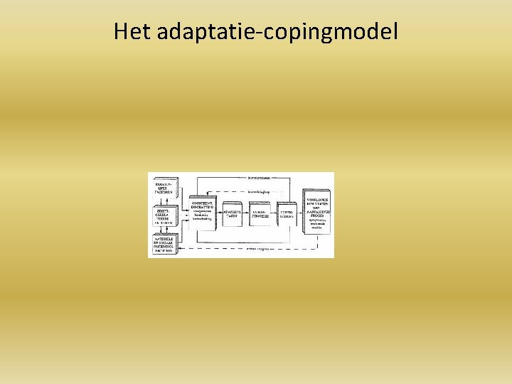 Het adaptatie-copingmodel 