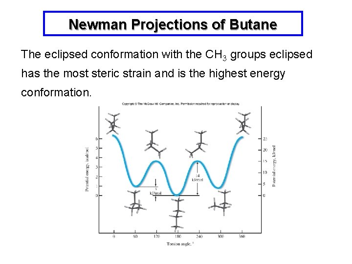 Newman Projections of Butane The eclipsed conformation with the CH 3 groups eclipsed has