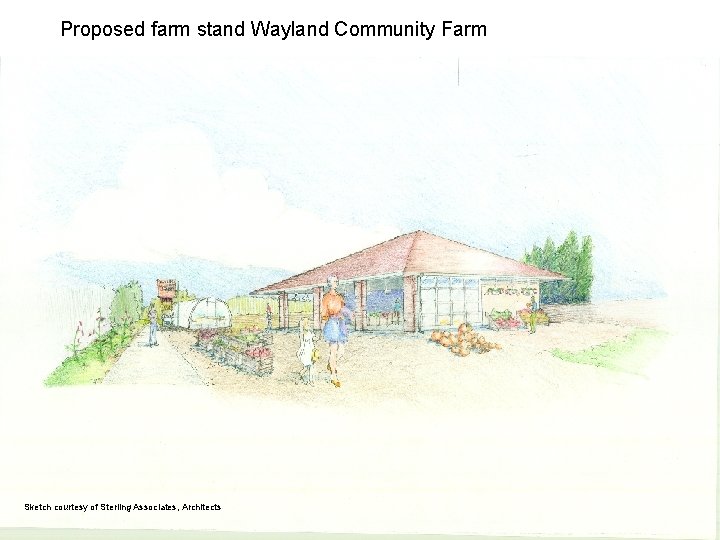 Proposed farm stand Wayland Community Farm Sketch courtesy of Sterling Associates, Architects 