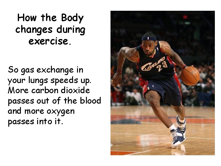 How the Body changes during exercise. So gas exchange in your lungs speeds up.