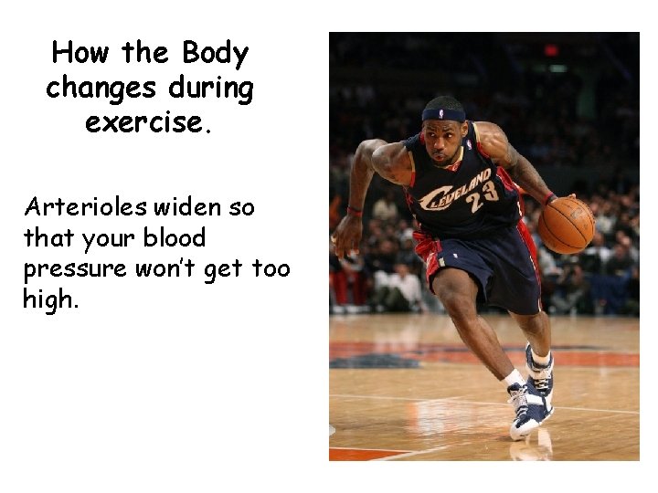 How the Body changes during exercise. Arterioles widen so that your blood pressure won’t