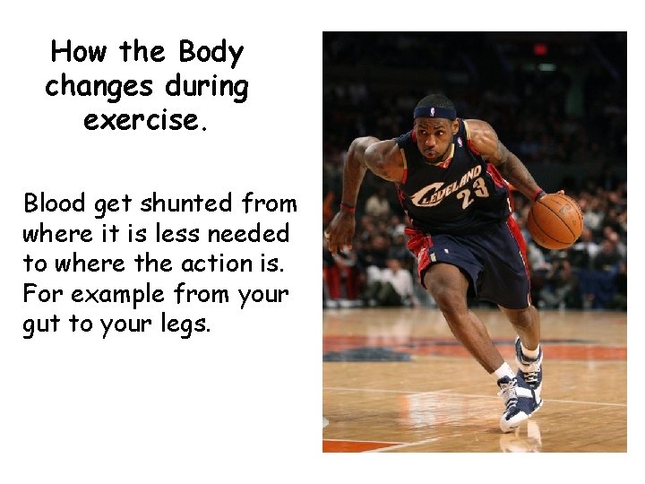 How the Body changes during exercise. Blood get shunted from where it is less