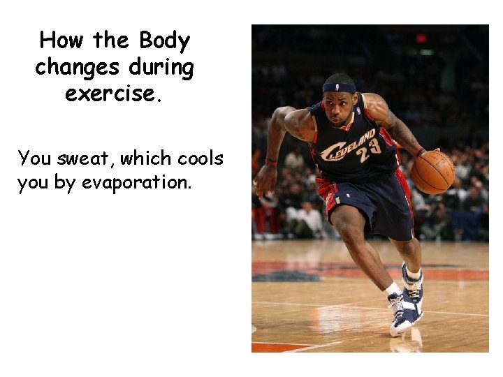 How the Body changes during exercise. You sweat, which cools you by evaporation. 