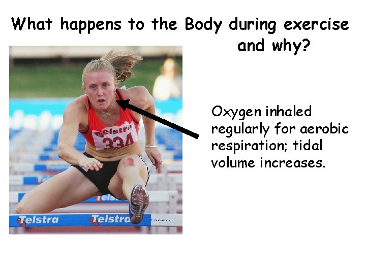 What happens to the Body during exercise and why? Oxygen inhaled regularly for aerobic