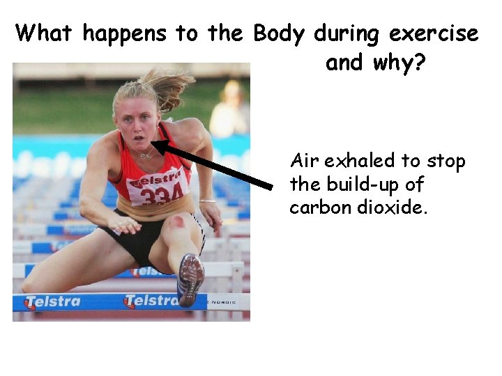 What happens to the Body during exercise and why? Air exhaled to stop the