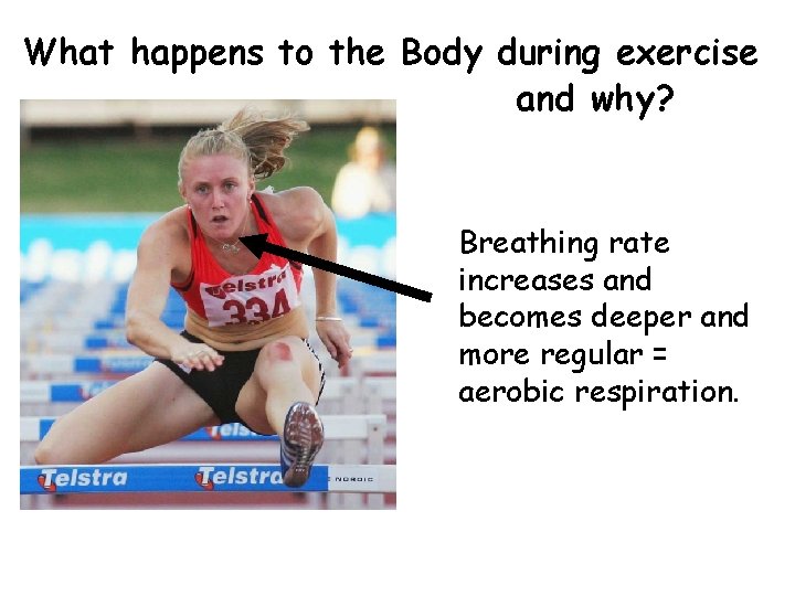 What happens to the Body during exercise and why? Breathing rate increases and becomes