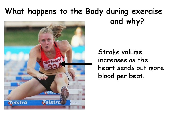 What happens to the Body during exercise and why? Stroke volume increases as the