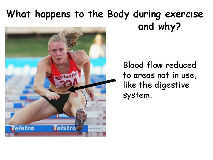 What happens to the Body during exercise and why? Blood flow reduced to areas