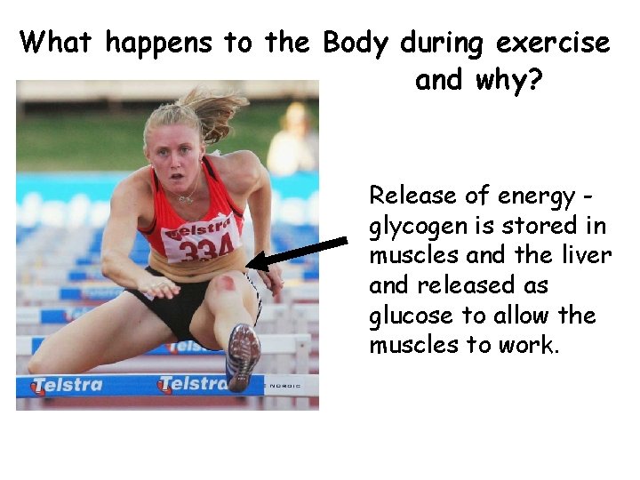 What happens to the Body during exercise and why? Release of energy glycogen is
