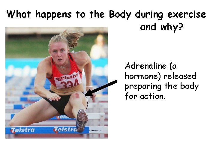 What happens to the Body during exercise and why? Adrenaline (a hormone) released preparing