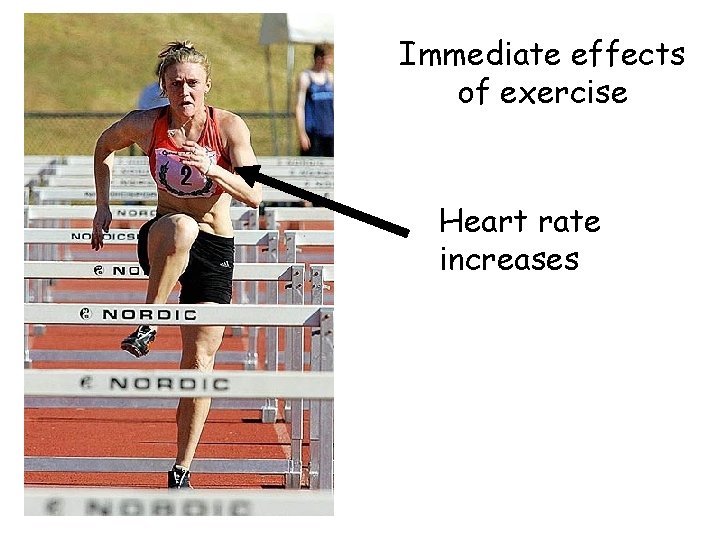 Immediate effects of exercise Heart rate increases 