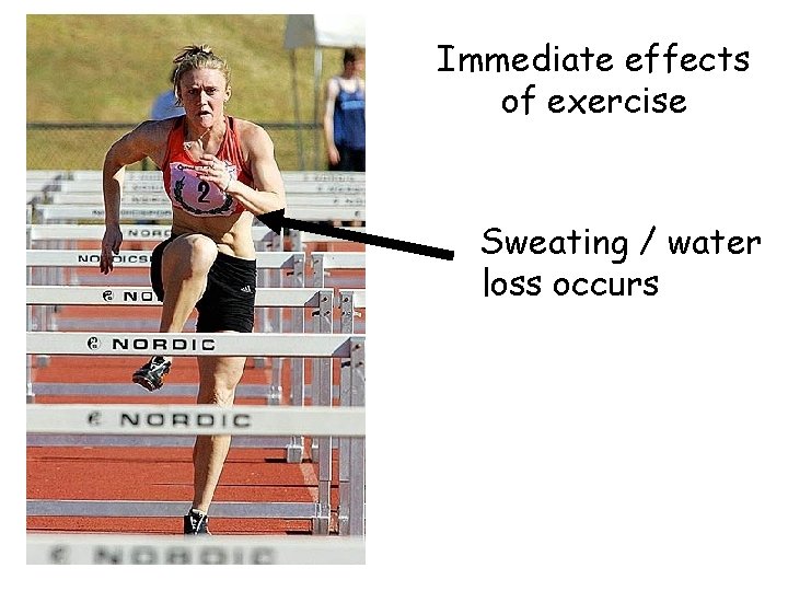 Immediate effects of exercise Sweating / water loss occurs 