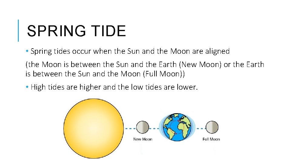 SPRING TIDE • Spring tides occur when the Sun and the Moon are aligned