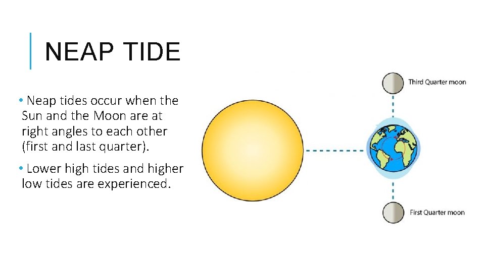 NEAP TIDE • Neap tides occur when the Sun and the Moon are at