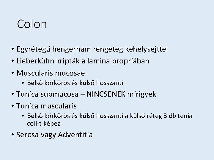 Colon • Egyrétegű hengerhám rengeteg kehelysejttel • Lieberkühn kripták a lamina propriában • Muscularis