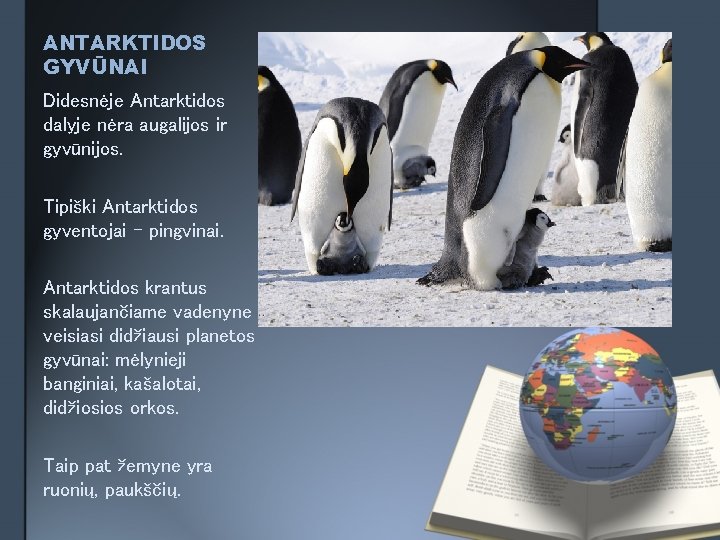 ANTARKTIDOS GYVŪNAI Didesnėje Antarktidos dalyje nėra augalijos ir gyvūnijos. Tipiški Antarktidos gyventojai – pingvinai.