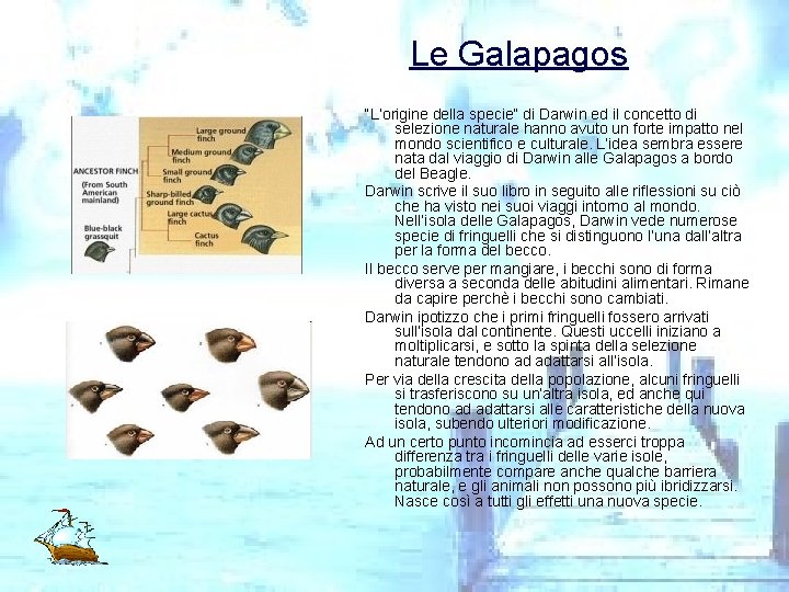 Le Galapagos “L’origine della specie” di Darwin ed il concetto di selezione naturale hanno