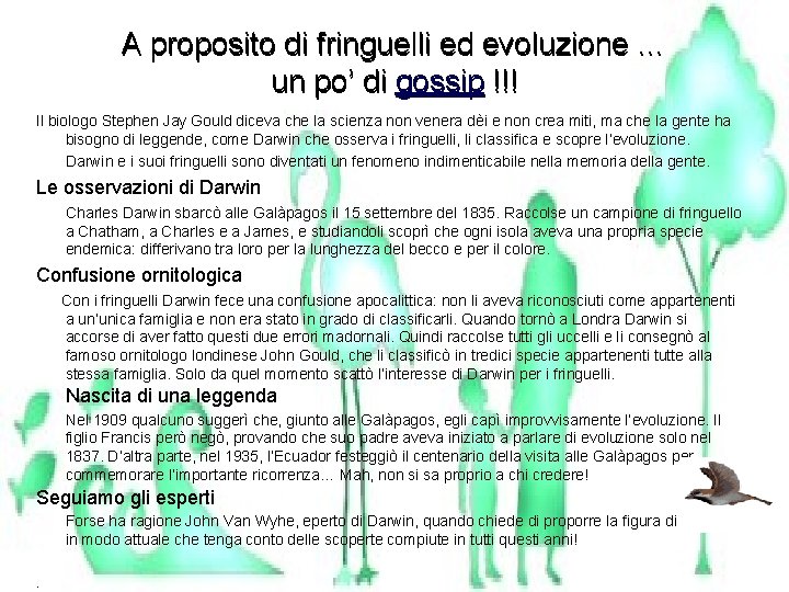 A proposito di fringuelli ed evoluzione … un po’ di gossip !!! Il biologo