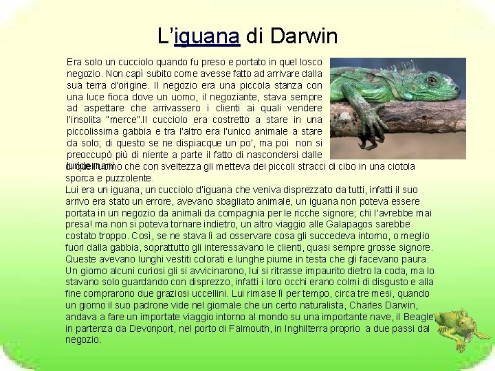 L’iguana di Darwin Era solo un cucciolo quando fu preso e portato in quel