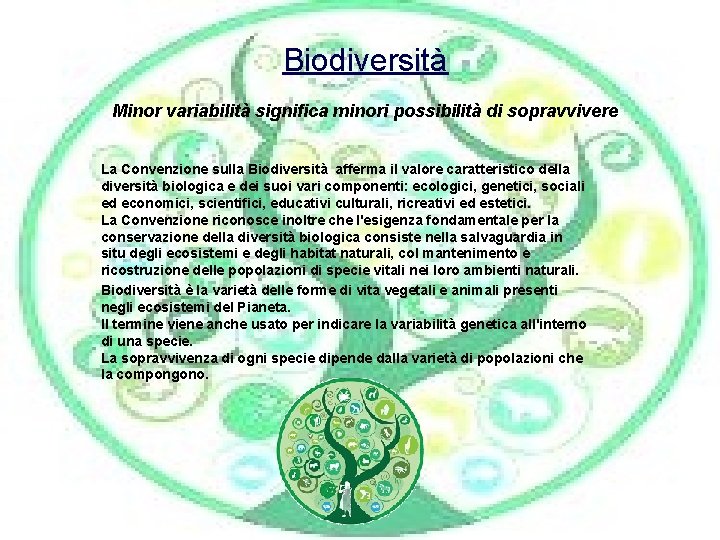 Biodiversità Minor variabilità significa minori possibilità di sopravvivere La Convenzione sulla Biodiversità afferma il