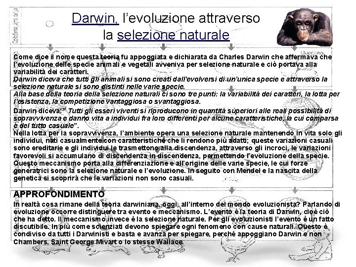 Darwin, l’evoluzione attraverso la selezione naturale Come dice il nome questa teoria fu appoggiata