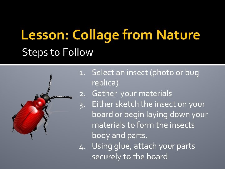 Lesson: Collage from Nature Steps to Follow 1. Select an insect (photo or bug