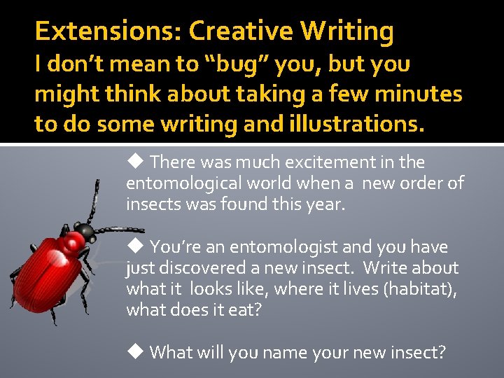 Extensions: Creative Writing I don’t mean to “bug” you, but you might think about