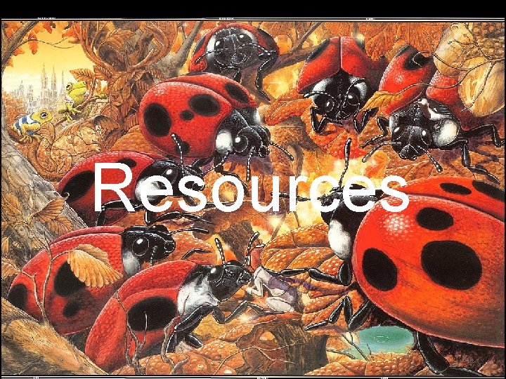 Resources 