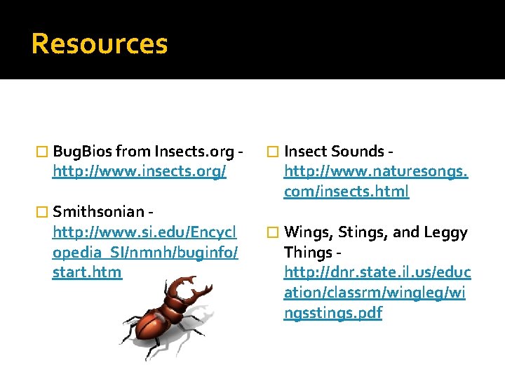 Resources � Bug. Bios from Insects. org - http: //www. insects. org/ � Smithsonian