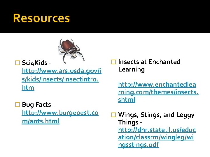 Resources � Sci 4 Kids - http: //www. ars. usda. gov/i s/kids/insectintro. htm �
