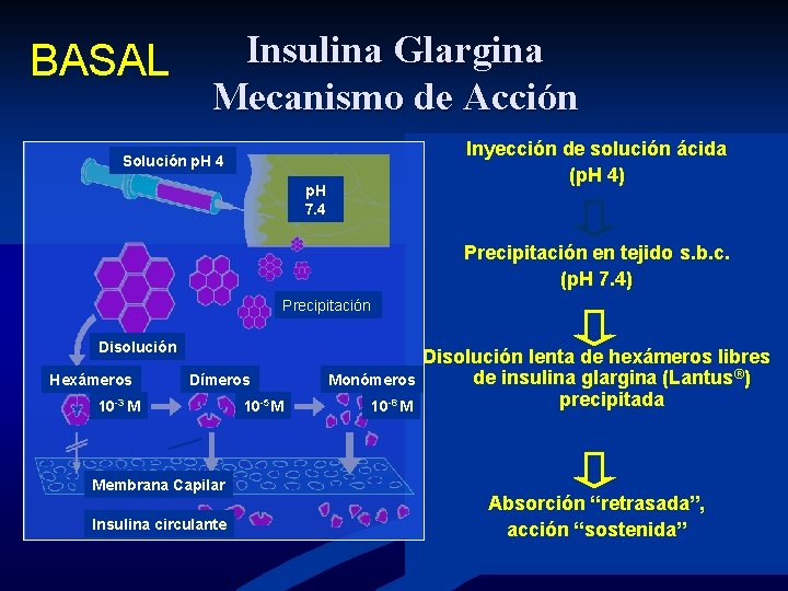 BASAL Insulina Glargina Mecanismo de Acción Inyección de solución ácida (p. H 4) Solución