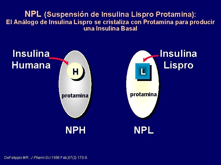 NPL (Suspensión de Insulina Lispro Protamina): El Análogo de Insulina Lispro se cristaliza con