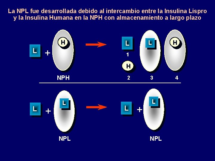 La NPL fue desarrollada debido al intercambio entre la Insulina Lispro y la Insulina