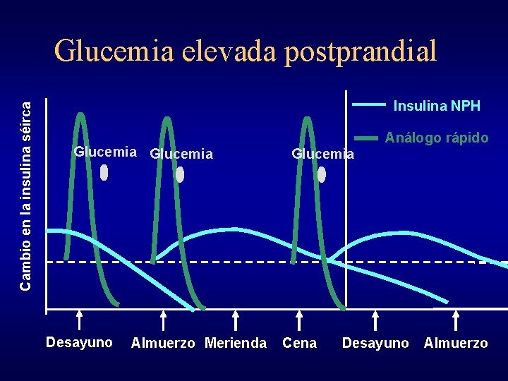 Cambio en la insulina séirca Glucemia elevada postprandial Insulina NPH Glucemia Desayuno Almuerzo Merienda