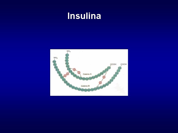 Insulina 