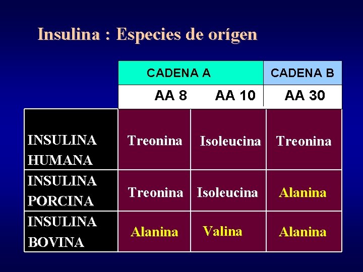 Insulina : Especies de orígen CADENA A AA 8 INSULINA HUMANA INSULINA PORCINA INSULINA