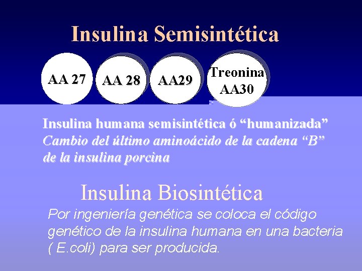 Insulina Semisintética AA 27 AA 28 Treonina Alanina AA 29 AA 30 Insulina humana