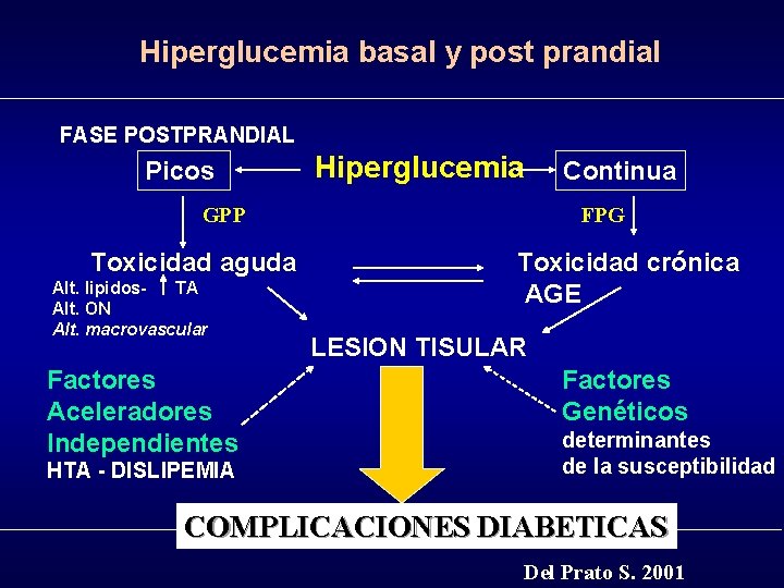 Hiperglucemia basal y post prandial FASE POSTPRANDIAL Picos Hiperglucemia GPP Toxicidad aguda Alt. lipidos.